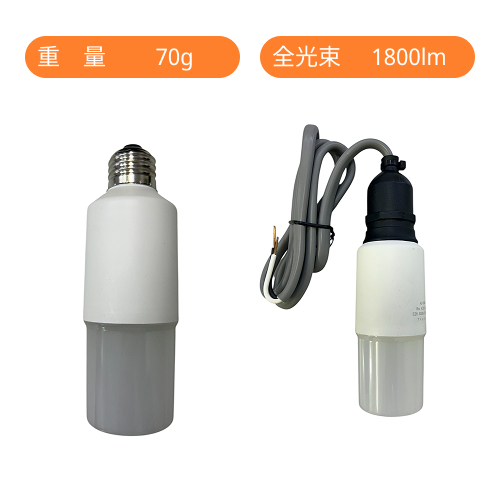 ID-100M(水銀灯400W相当) 口金式(E39) 電源内蔵型タイプ