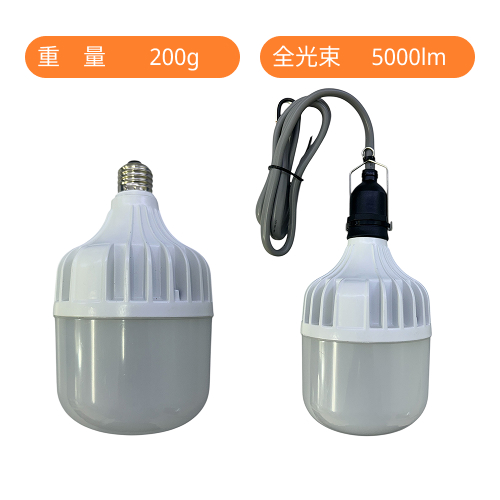 ID-100M(水銀灯400W相当) 口金式(E39) 電源内蔵型タイプ