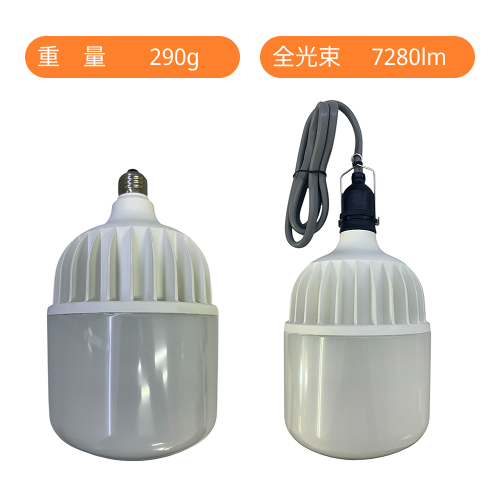 ID-100M(水銀灯400W相当) 口金式(E39) 電源内蔵型タイプ